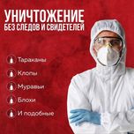 Уничтожаем насекомых качественно дезинфекция