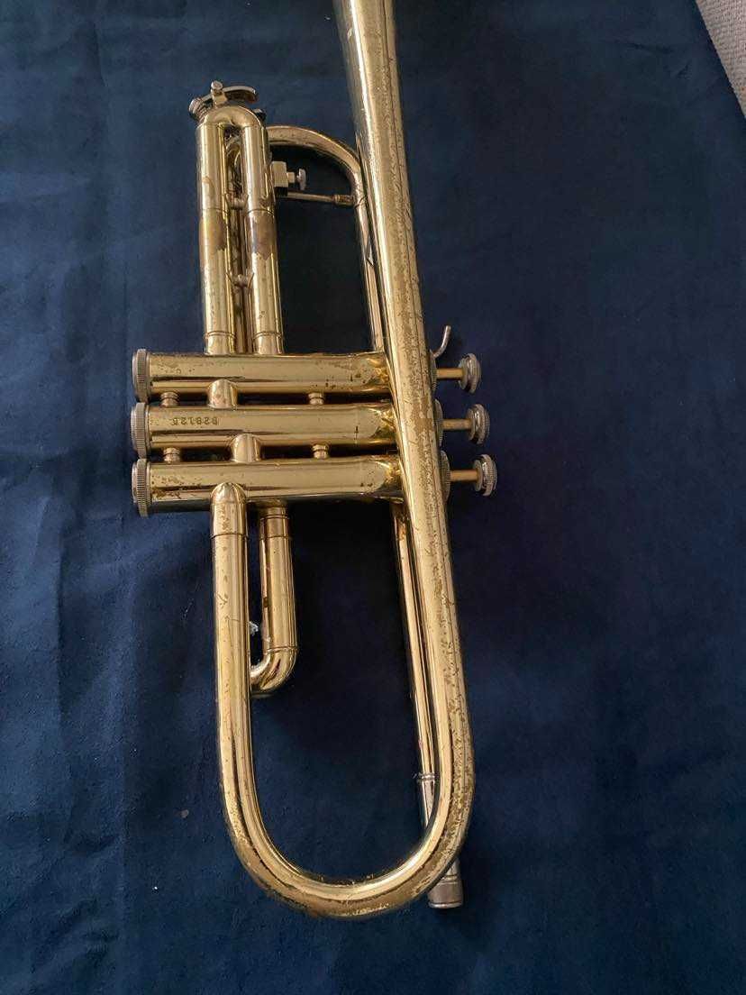 Trompeta Bach TR 300