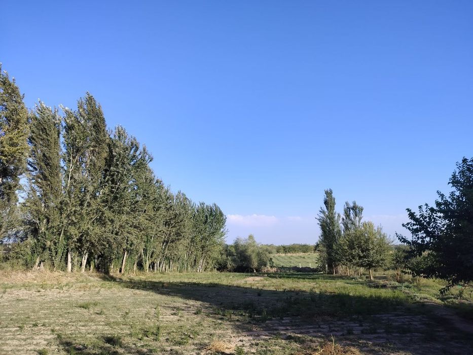 Yer uchastkasi sotiladi