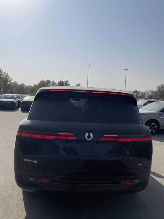 Denza N9 full maksimalniy