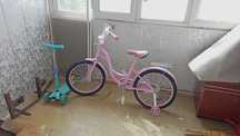 Velo   velosiped