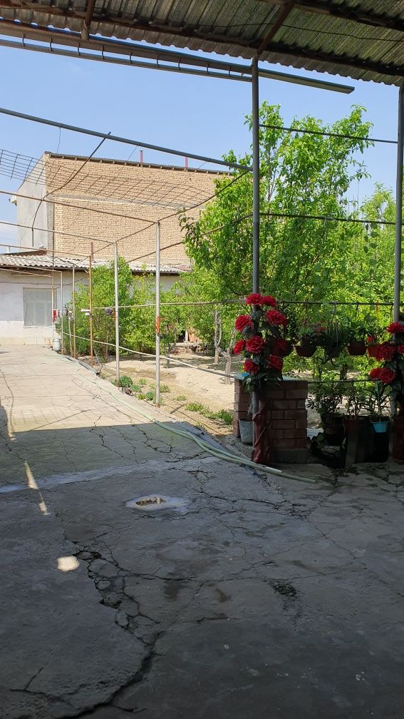 Sergili Quruq yer hisobida uchaska sotiladi