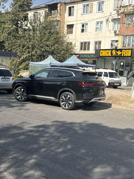BYD chinpiyon  -…………….