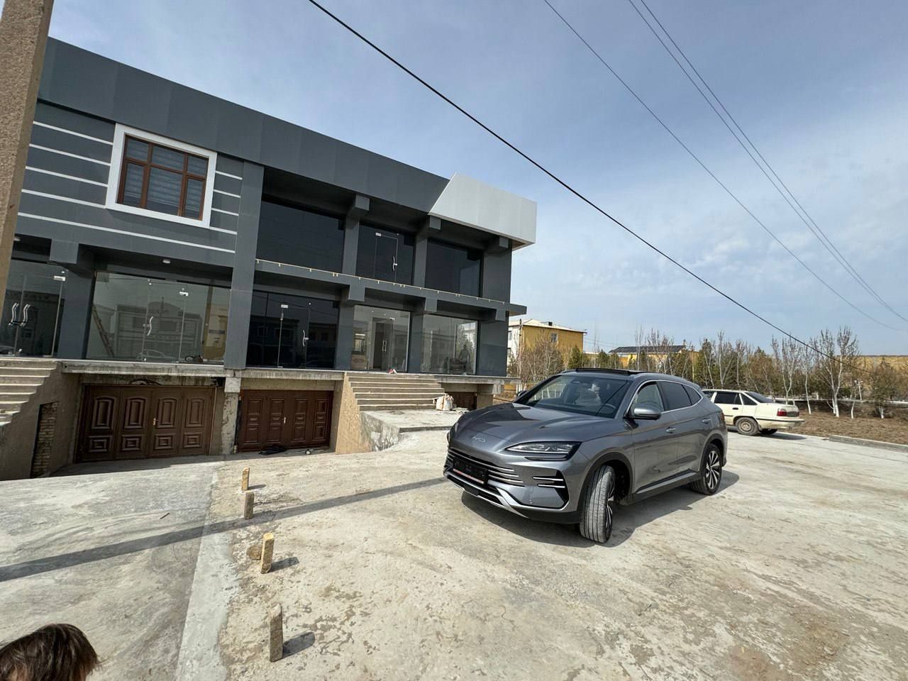 Byd chempion gibrid 2024