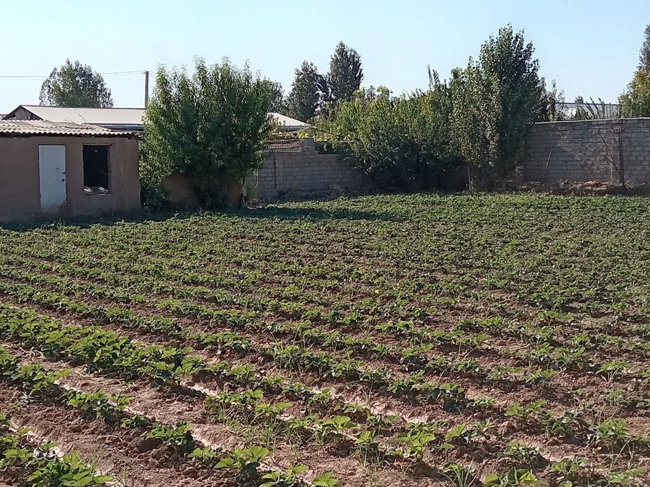 Земельный участок 6 сотик