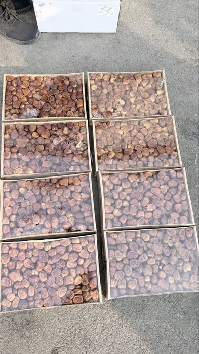 Сукари рутоб, отборные в плёнке!