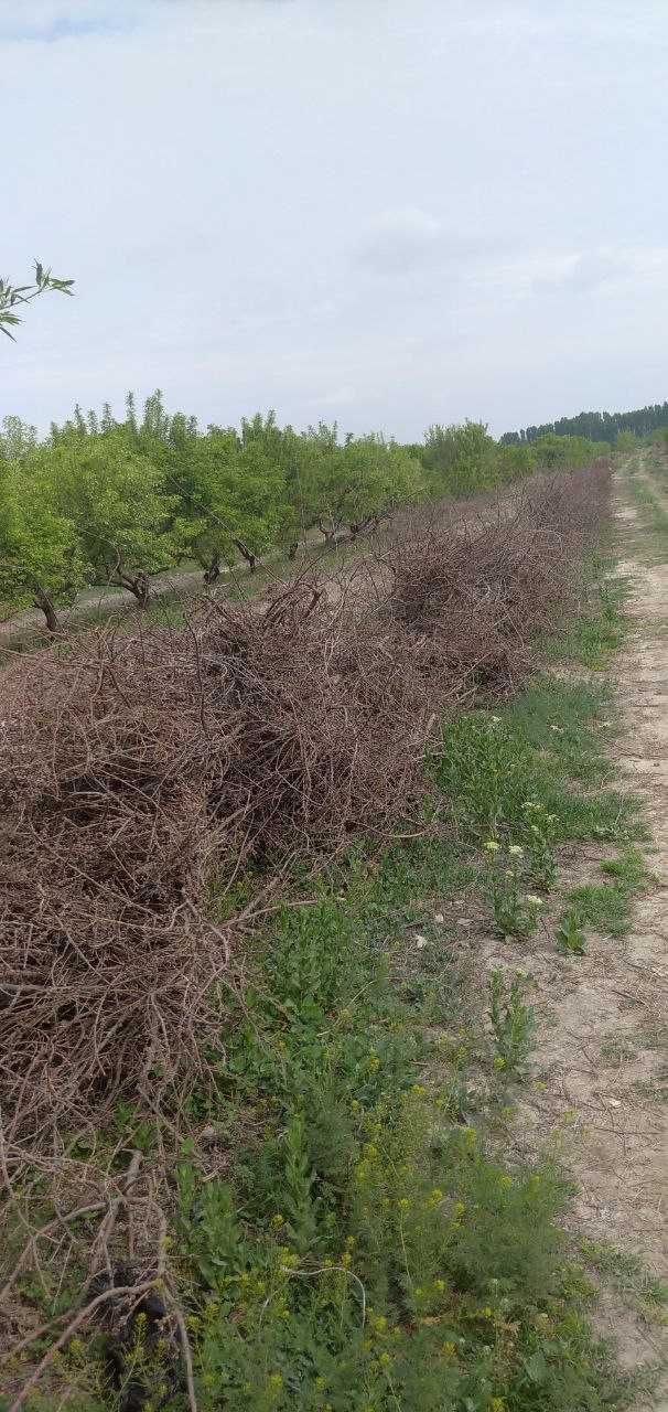 Продаются дрова в хорошем качество