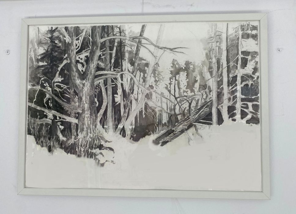 Tablou in tus si grafit