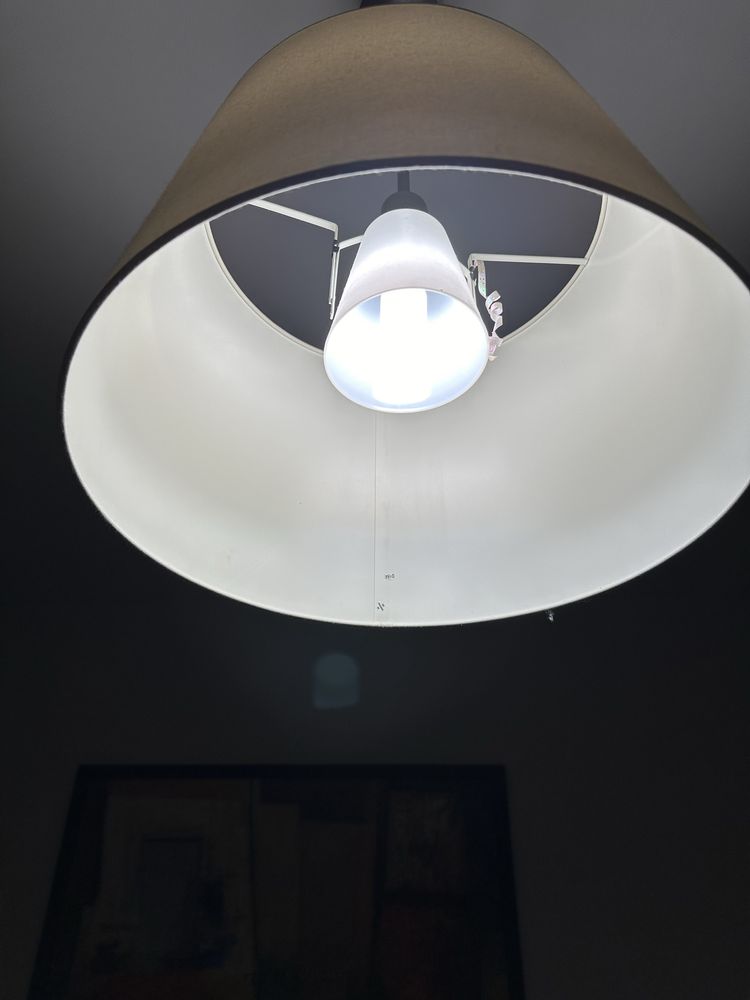 Лампи за таван