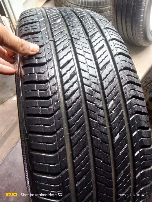 Kaptiva arginal r18