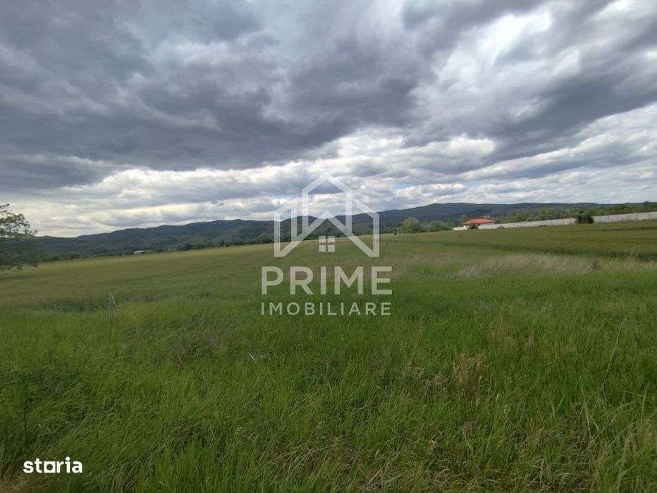 Teren extravilan de 10.400 mp, zona Vintu de Jos