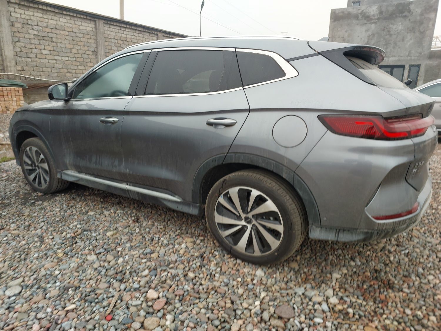 BYD song champion 2024 versiya