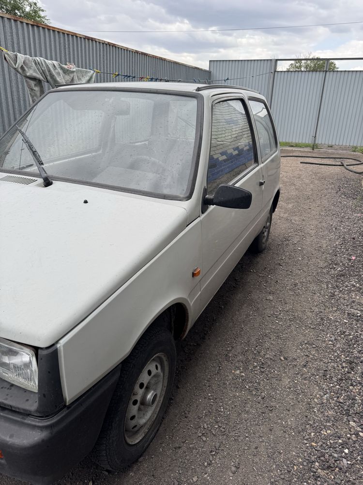 Продам живую оку