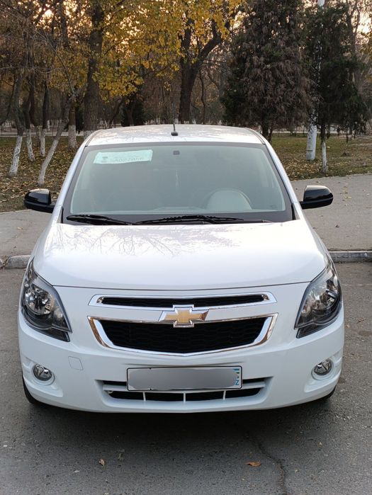 Cobalt midnight sotiladi