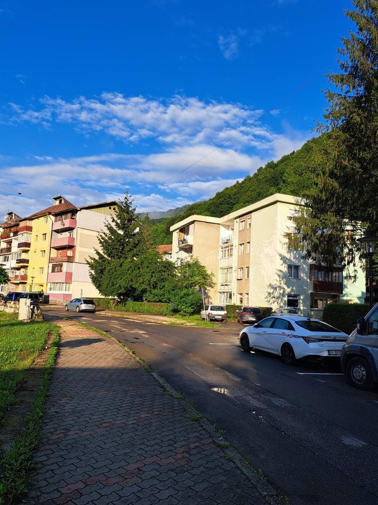 Apartament 3 camere