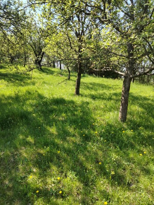 Vând teren intravilan  Boteni Argeș   9000 mp.  4 euro mp