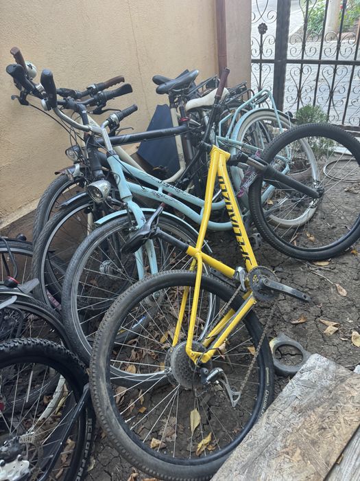 Vand Biciclete Mtb bulls Pegasus 27.5 29 28 Dama Barbatesti germany