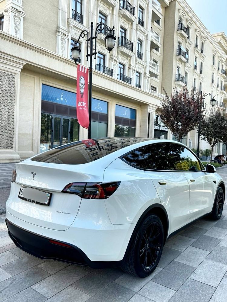 Tesla Model Y Dual Motor Long Range 2021/2022 America