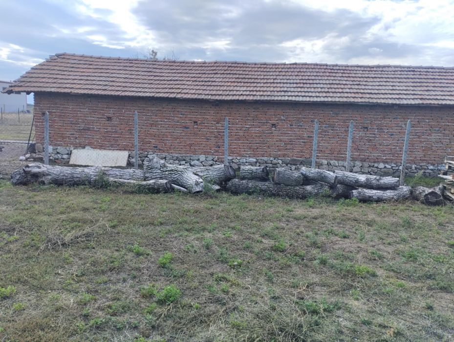 Продавам орехово дърво