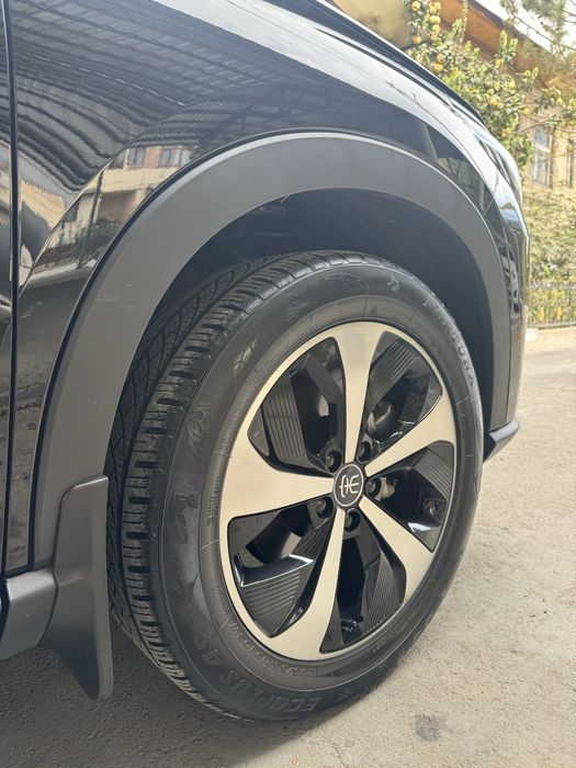 Byd Song pulus Flekship 505 Tali