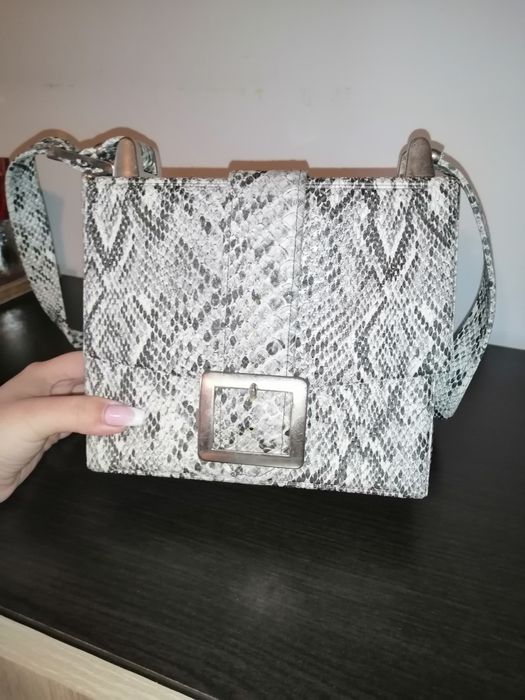 Set geanta plus pantofi snake