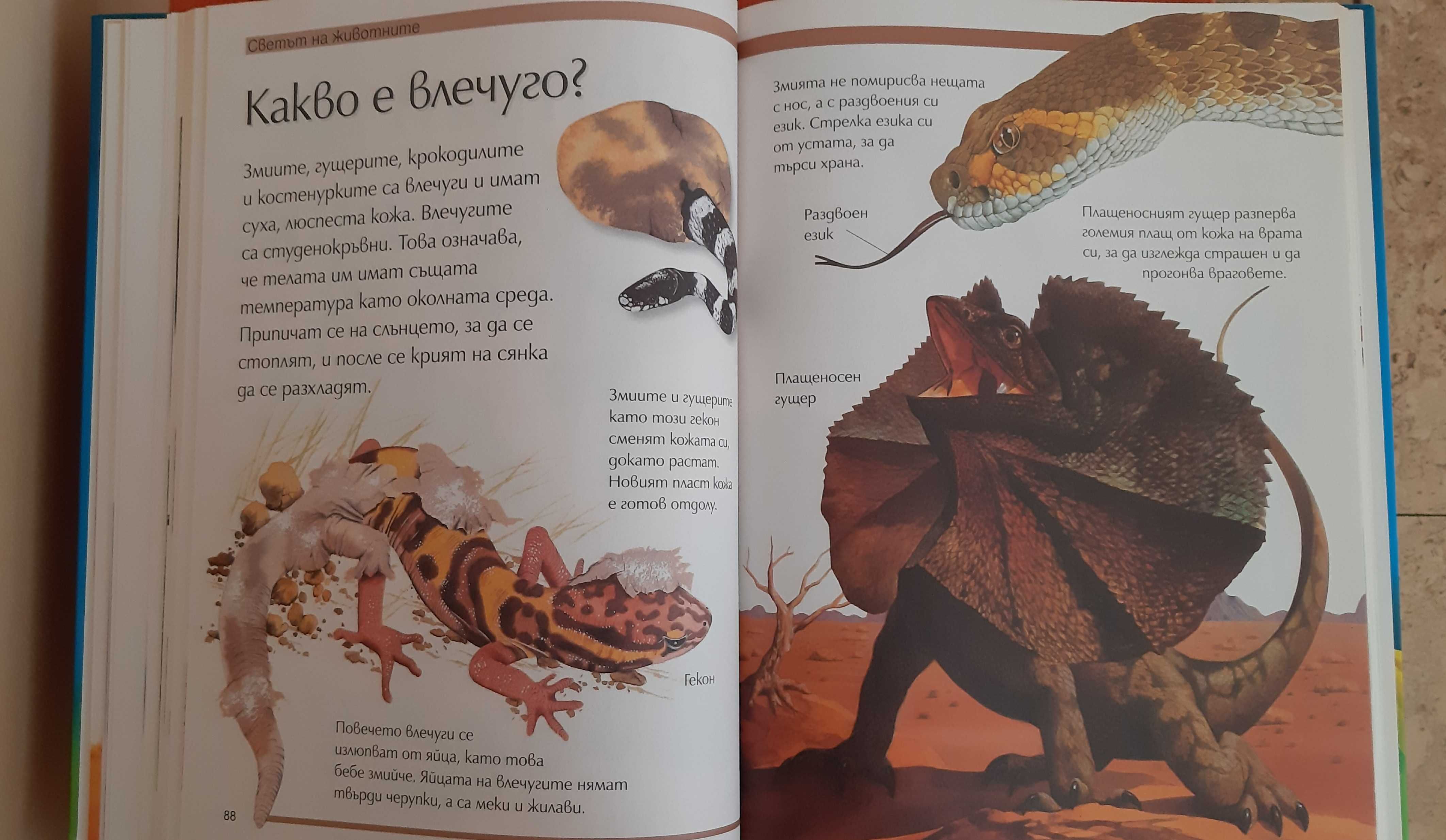 Голяма детска енциклопедия - Анджела Уилкс