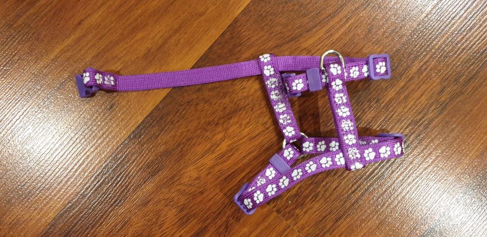 Ham pentru  cățeluș mic