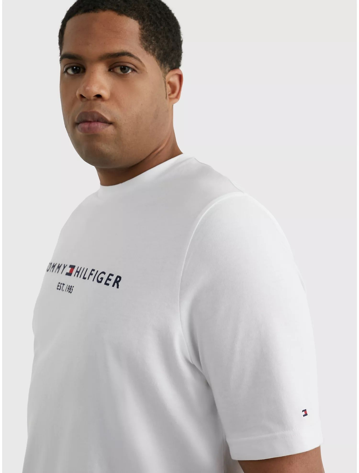 Big and tall slim fit Hilfiger logo T-Shirt