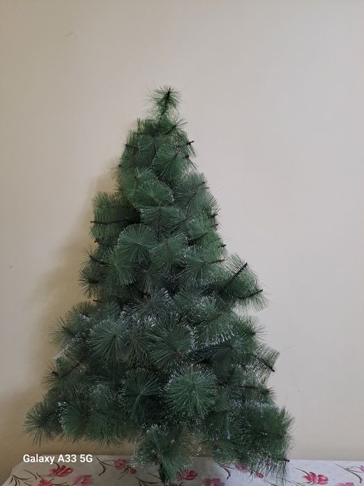 Ёлка арча сотилад