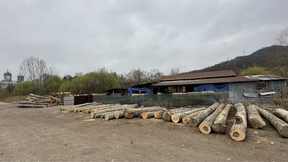 Fabrica de Cherestea