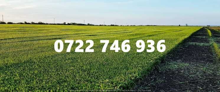 Spațiu verde instant – Montaj rapid cu gazon rulou!
