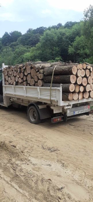 Lemne de foc la 320 lei metru esență tare