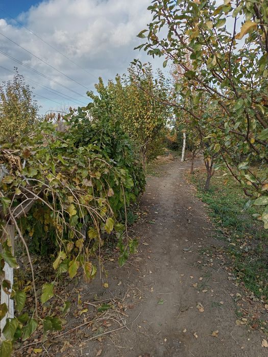 Продаю дом 3 комнаты