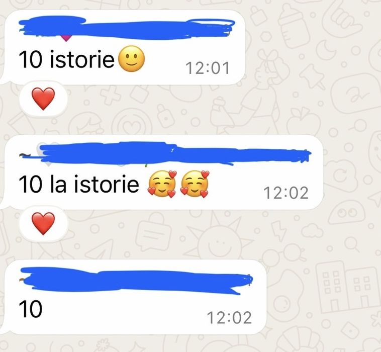 Meditații Bac Istorie