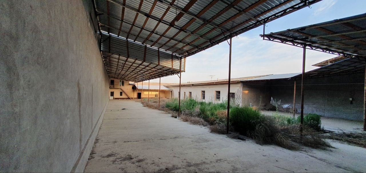 Arenda 8sotix Baliqchi, Sotiladi.