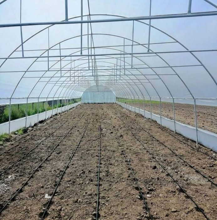 Sere/solare la cel mai bun pret