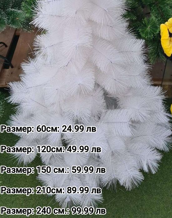 Коледни елхи на ниски цени