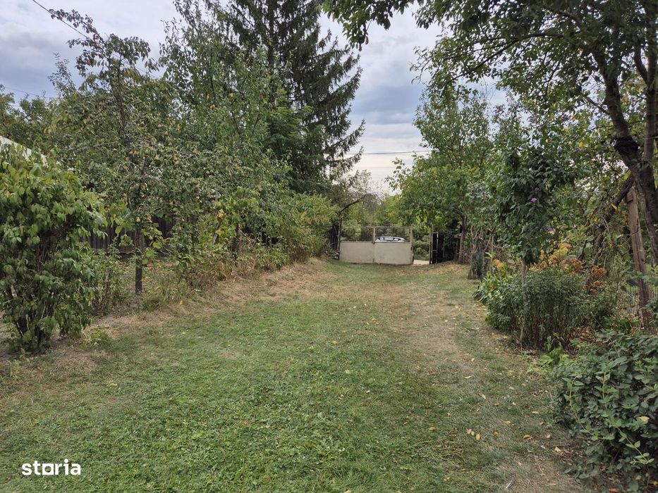 Filipesti-Galbeni, gospodarie cu teren 3500mp, utilitati, 33000Euro