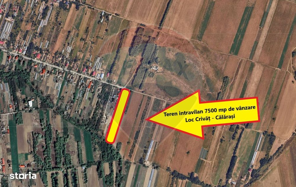 Teren 7500 mp de vanzare Crivat, str. Dulciata Ion, jud. Calarasi