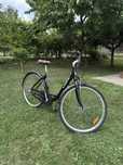 Bicicleta DHS Classic 596