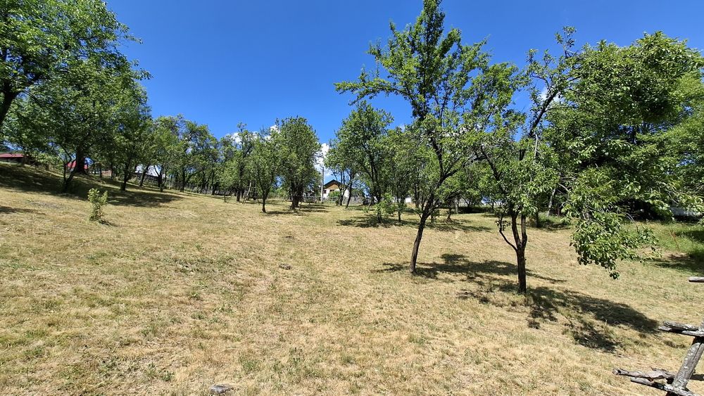 Teren intravilan de vanzare