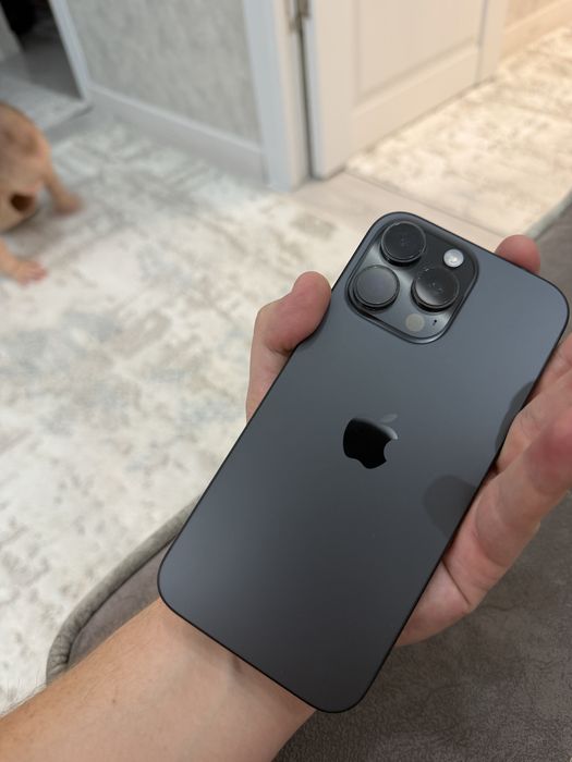 16 Pro Max 256GB  96%