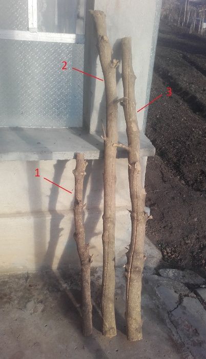 Продавам чемшир дървен материал