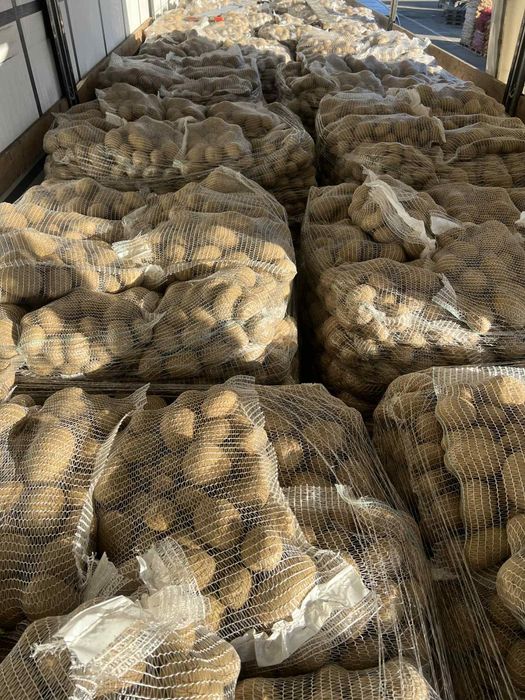 Cartofi +55 10kg Super calitate! Preturi negociabile