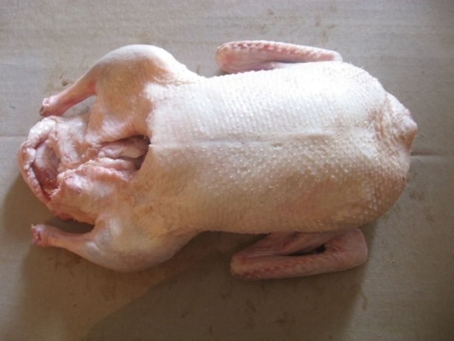 Тушки утки молодых