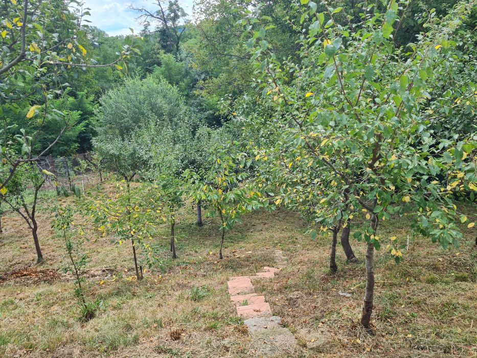 Vând teren intravilan