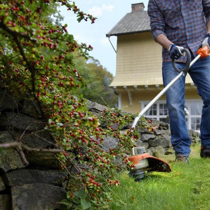 Обрезка роз в Уральске. Уборка частных дворов.