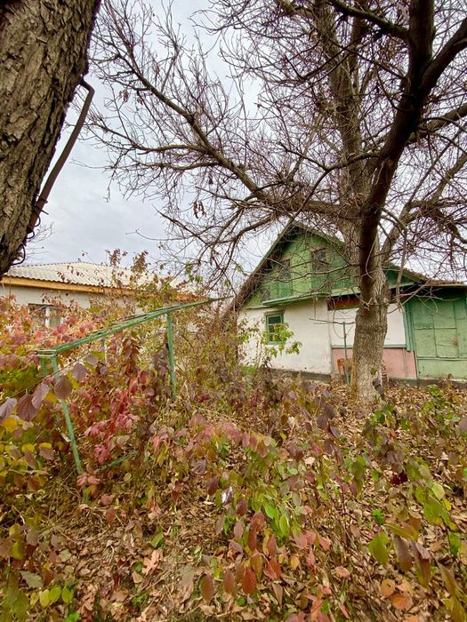 Дача дом Шолдала