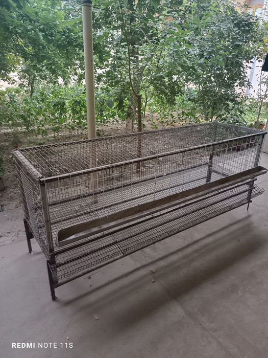 Клетки для курица