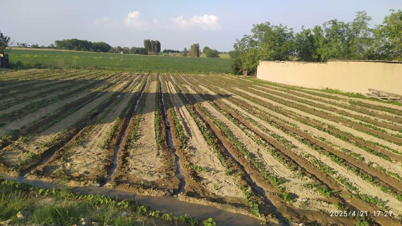Xovli sotiladi. 3 xonali Dom bosa barter bor